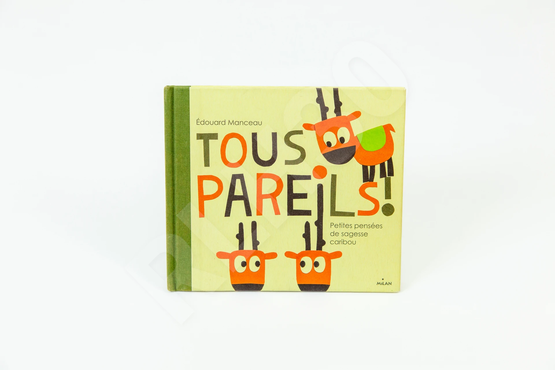 Photo de l'outil