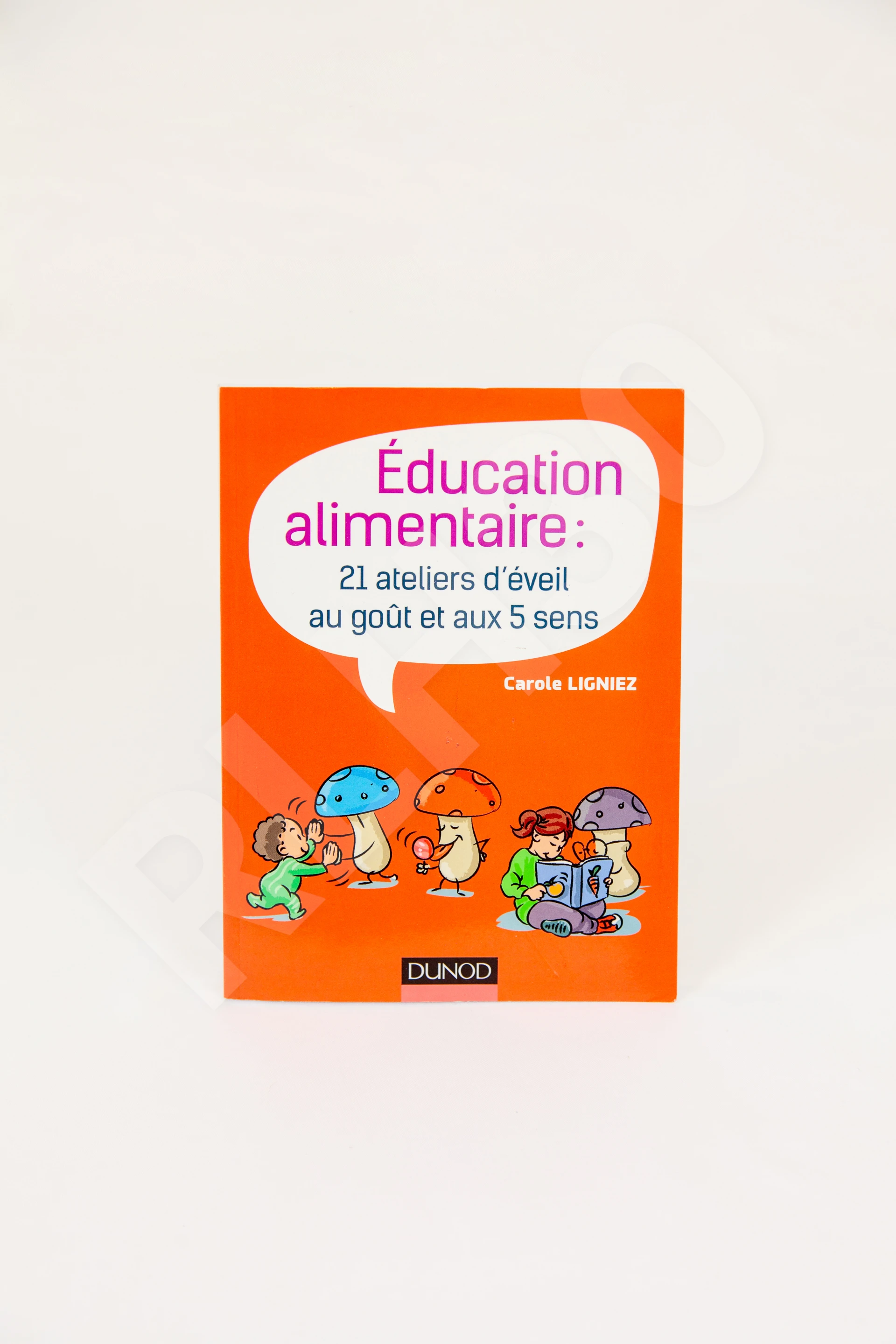 Photo de l'outil