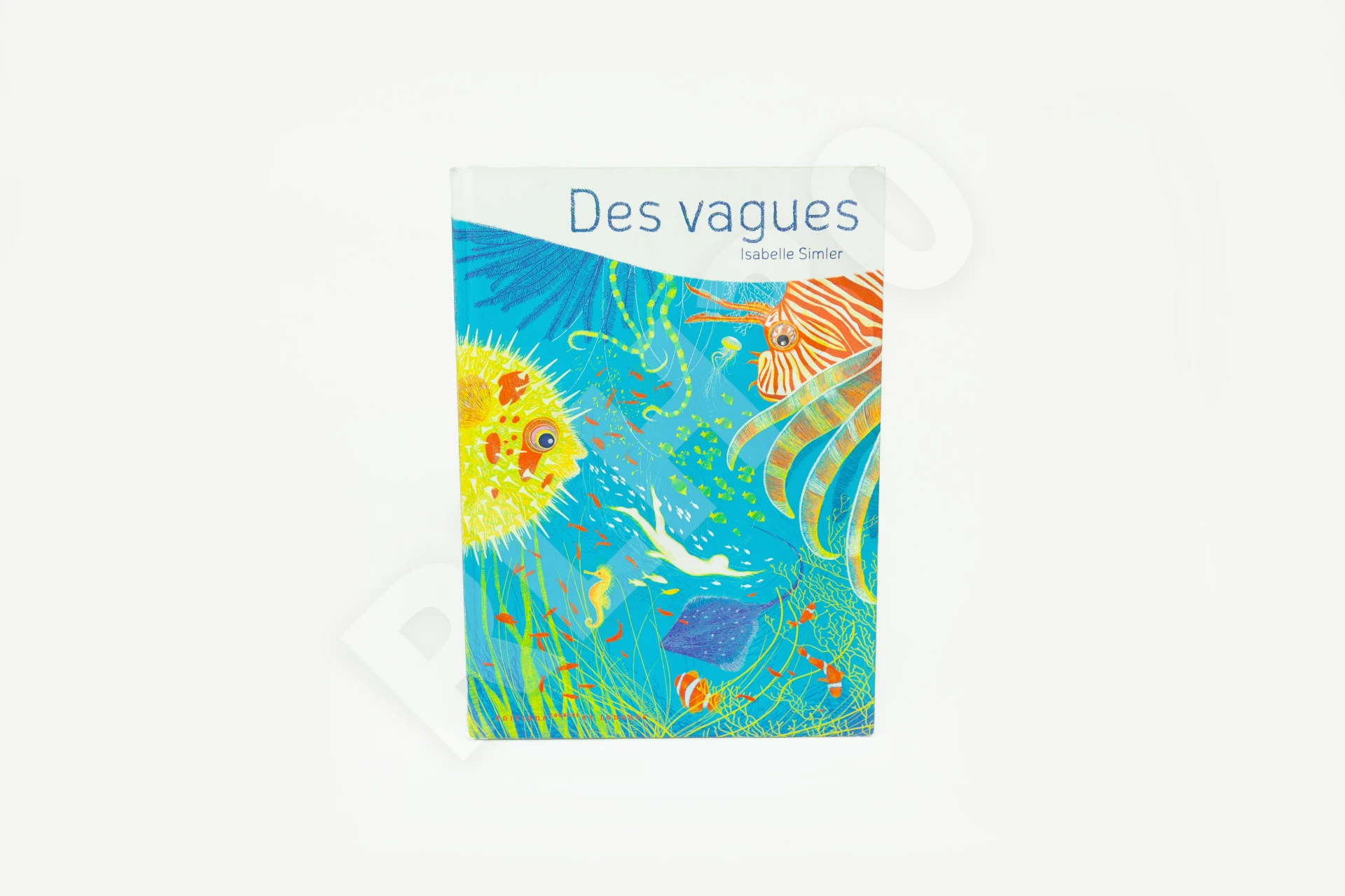 Photo de l'outil